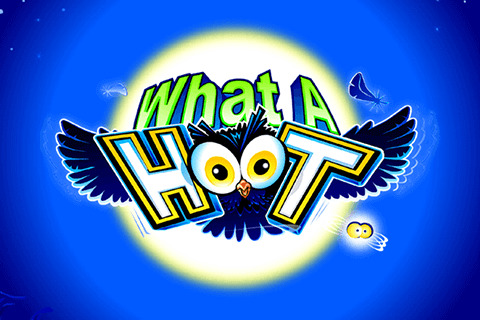 logo what a hoot microgaming slot game